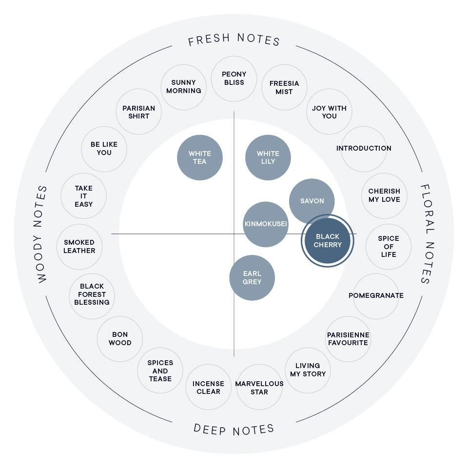블랙 체리 오 드 퍼퓸