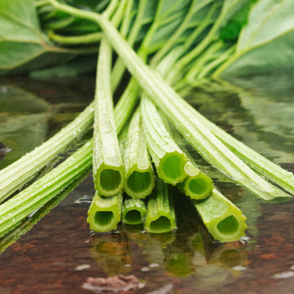 버터버 시트 마스크