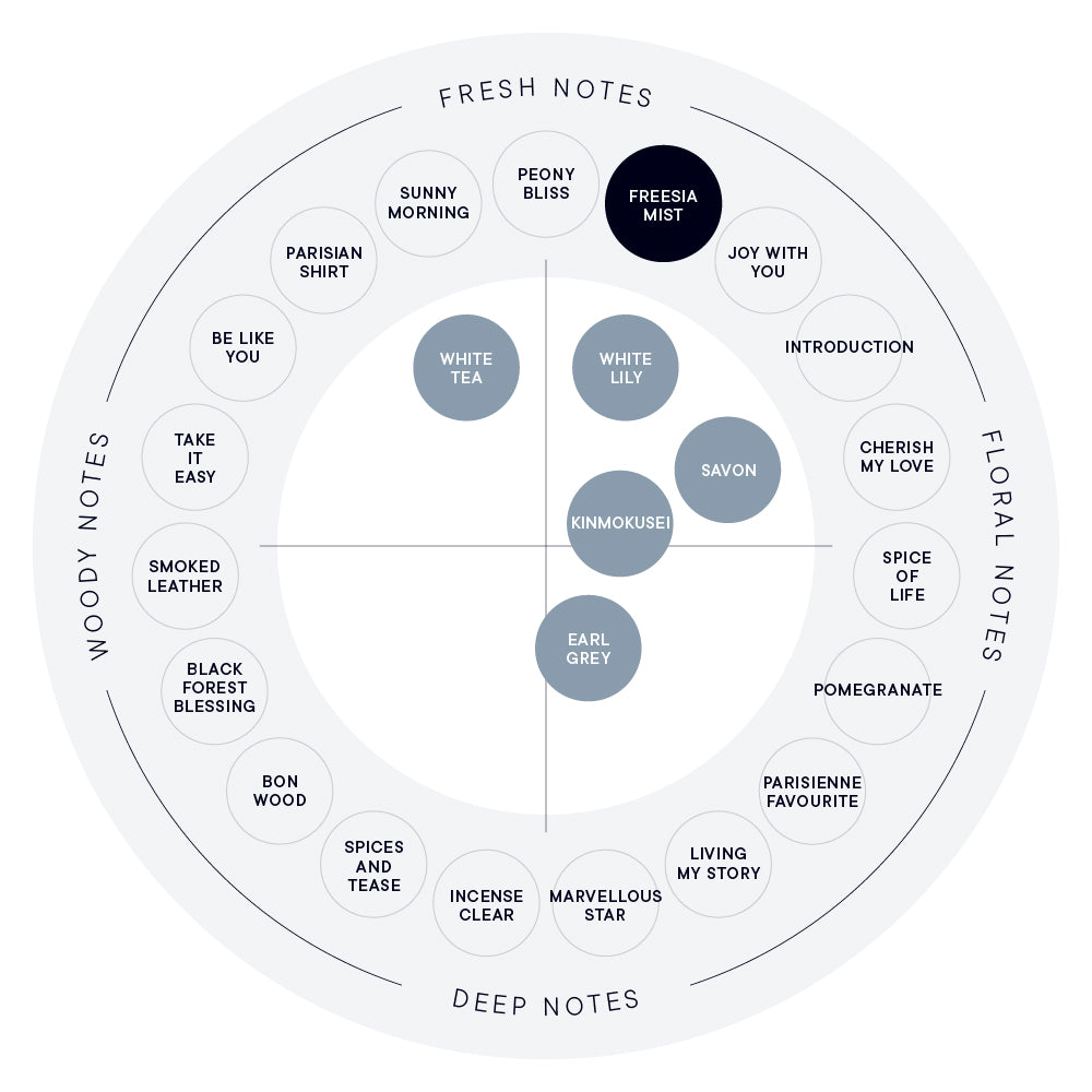 프리지아 미스트 퍼퓸 디퓨저 리퀴드 (스틱 10개입)