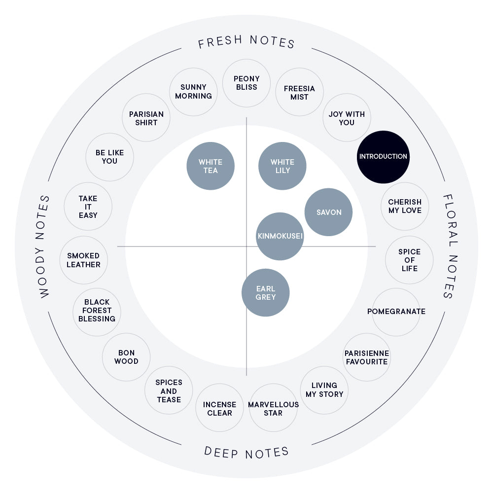 인트로덕션 오 드 퍼퓸