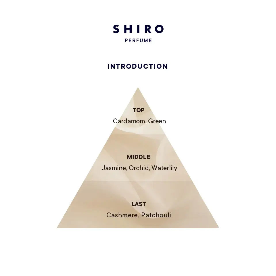 인트로덕션 오 드 퍼퓸