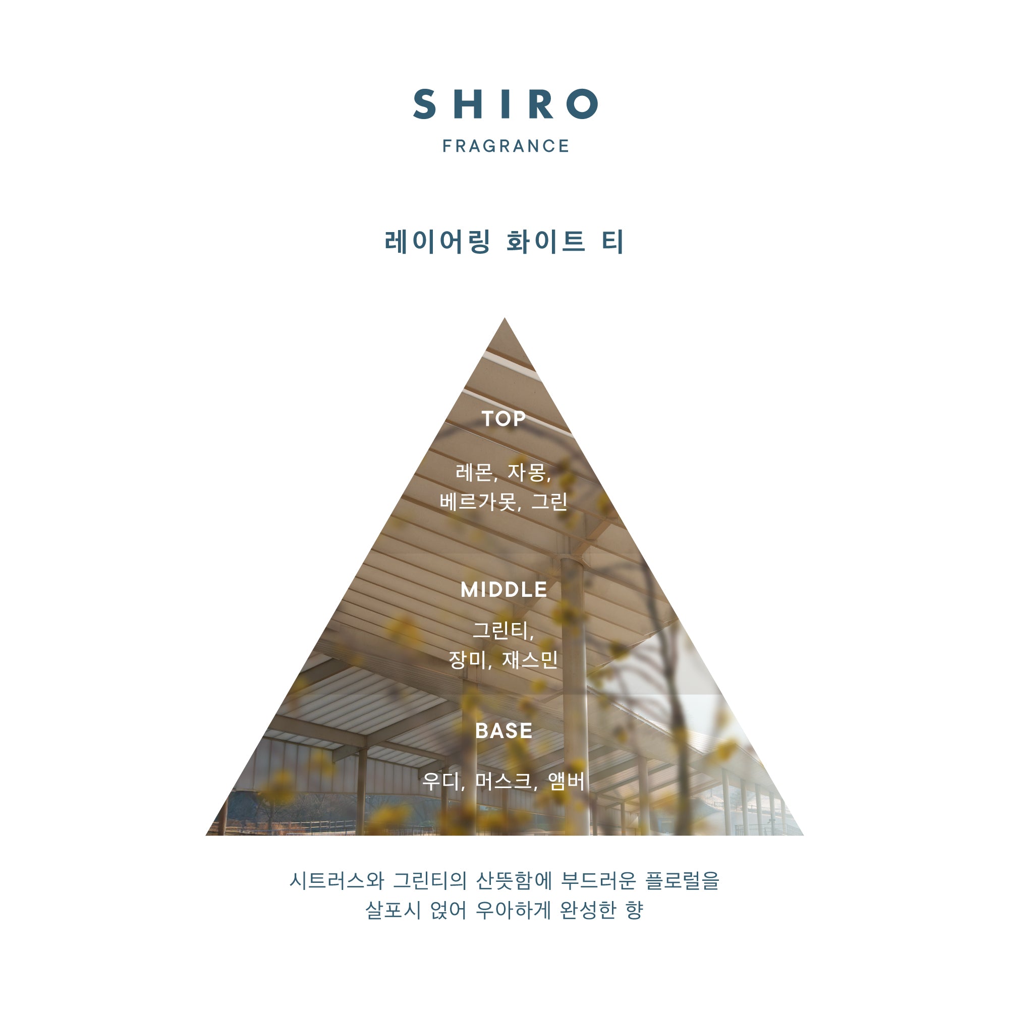 레이어링 화이트 티 오 드 퍼퓸