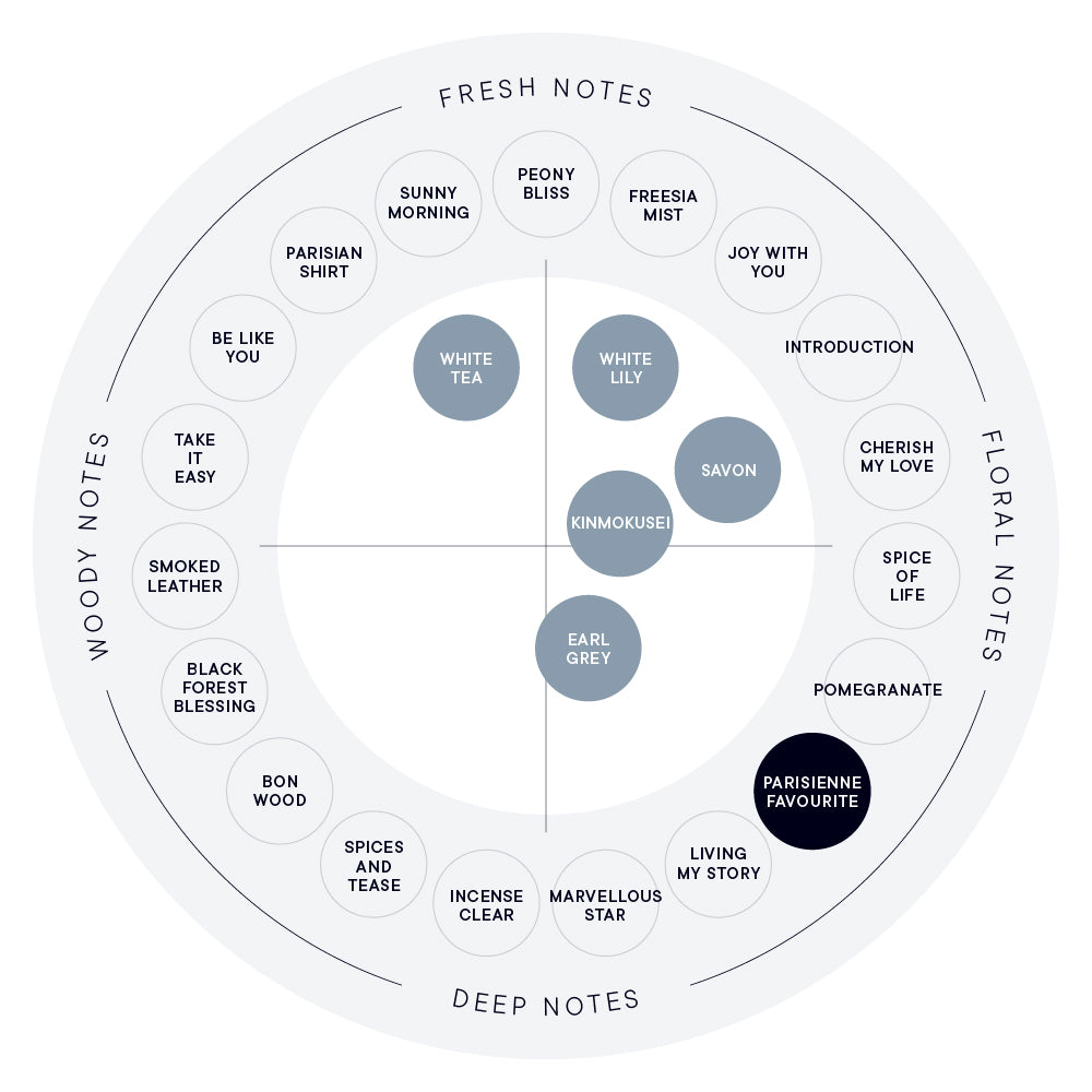 파리지엔 페이버릿 오 드 퍼퓸
