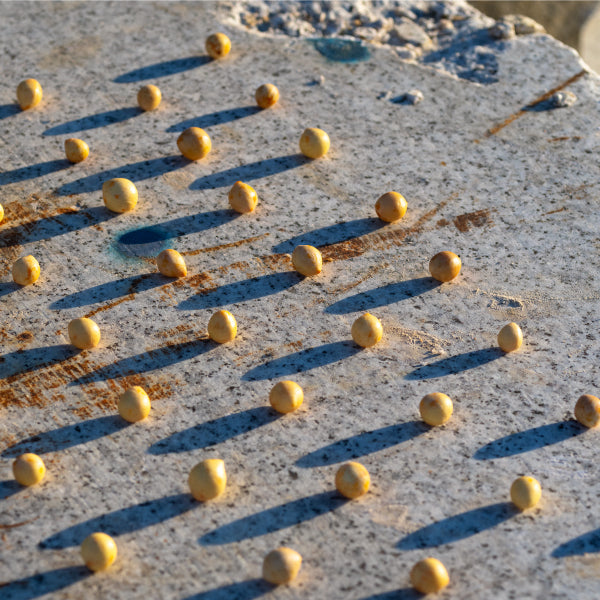 타마누 시트 마스크