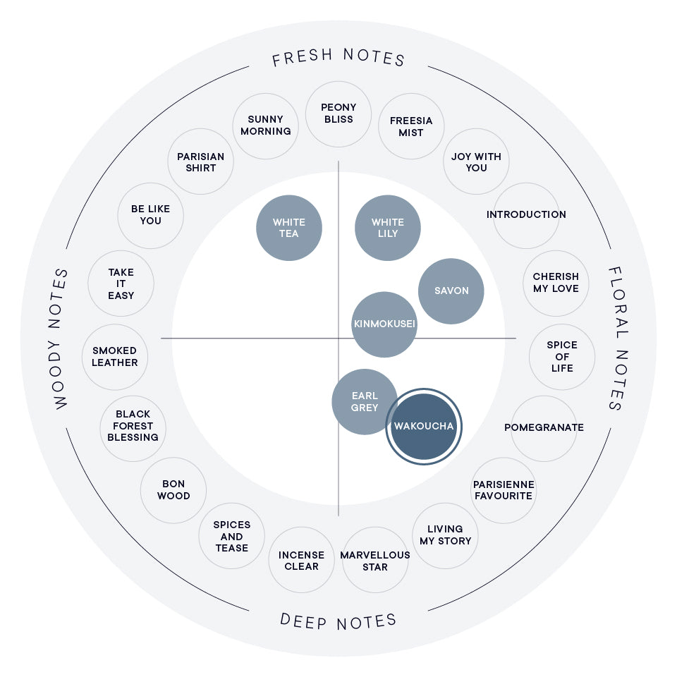 와코차 오 드 퍼퓸