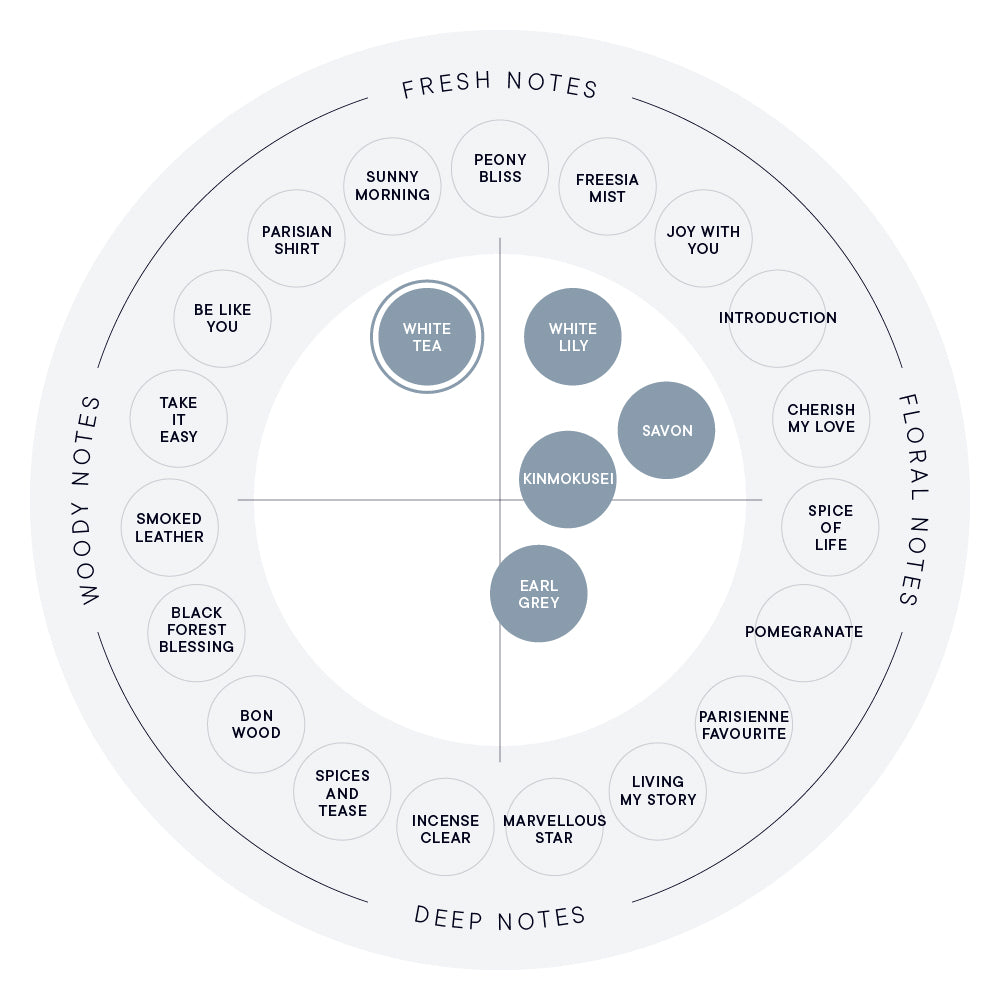화이트 티 핸드 세럼