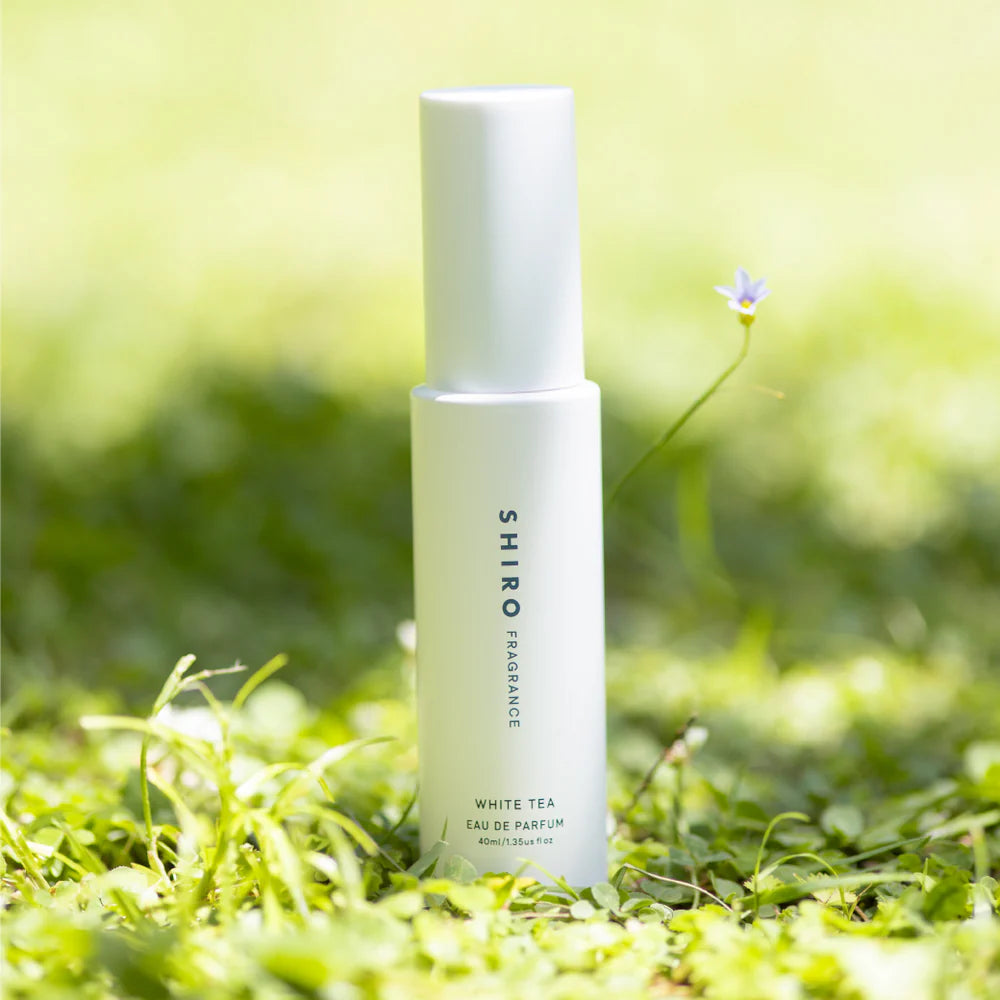 화이트 티 오 드 퍼퓸