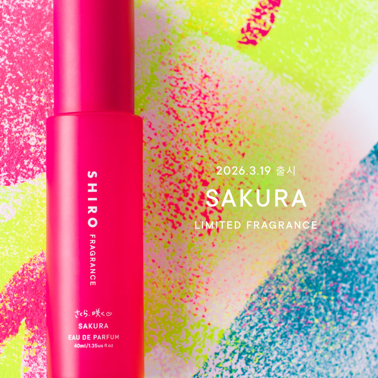 만개한 벚꽃처럼 더욱 화사하게, 더욱 풍부하게 리뉴얼된 「사쿠라」를 수량 한정으로 출시