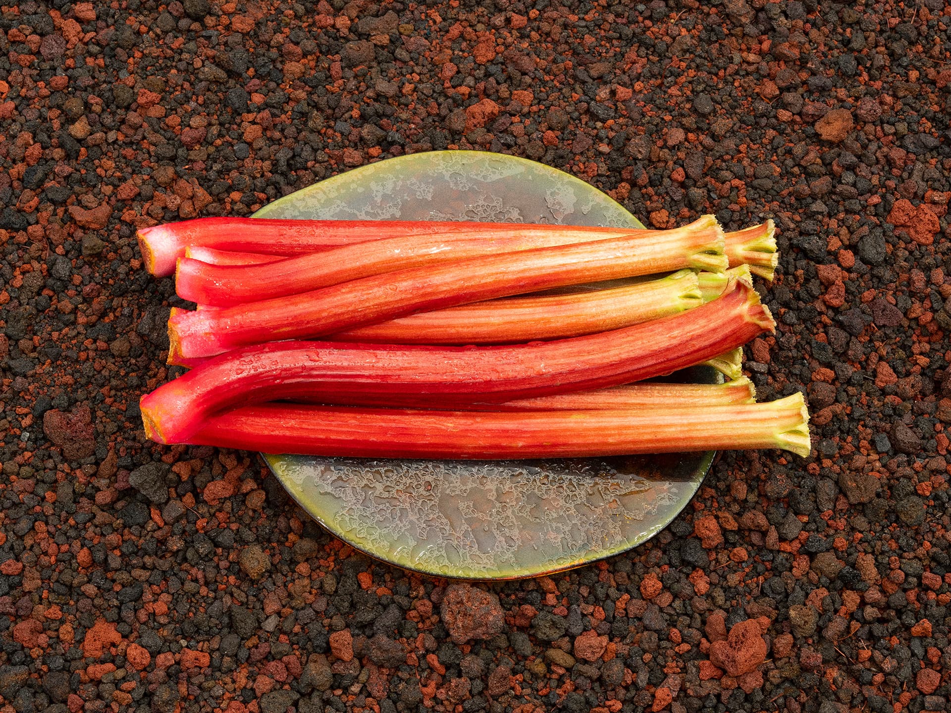 루바브 RHUBARB