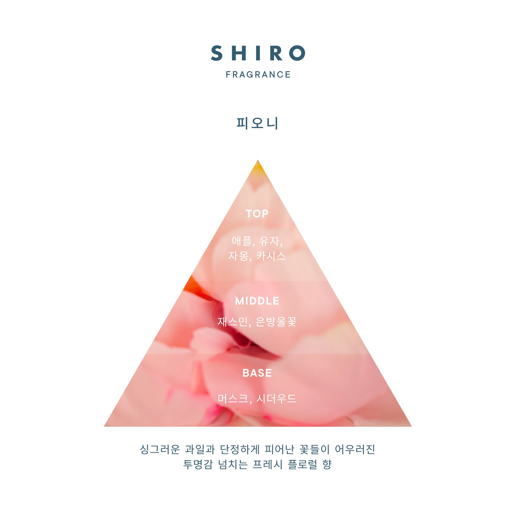 피오니 배쓰 솔트