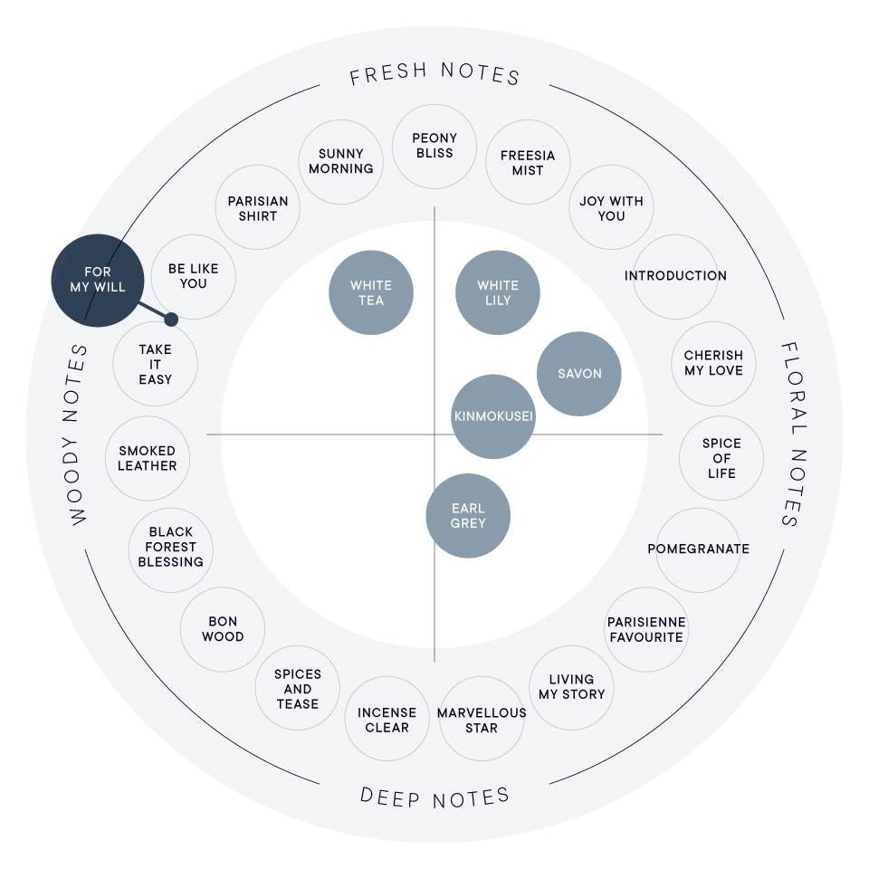 포 마이 윌 오일 인 바디 로션