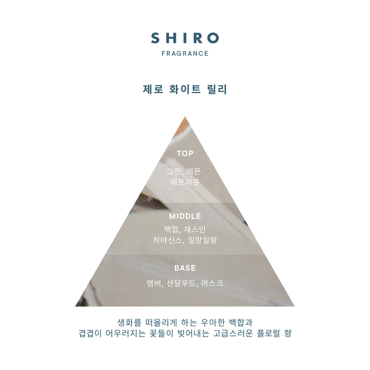 제로 화이트 릴리 오일 인 헤어 앤 바디 세럼 미스트